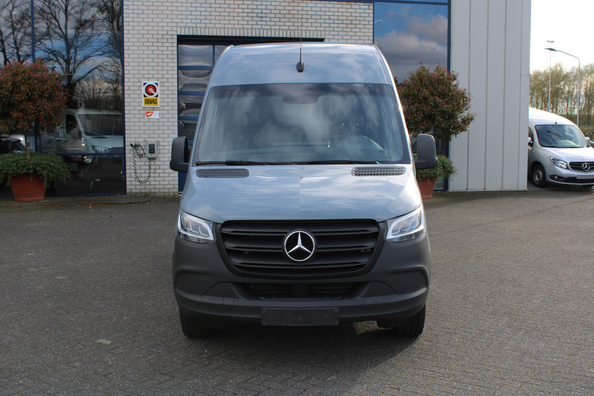 37818241-1.jpg