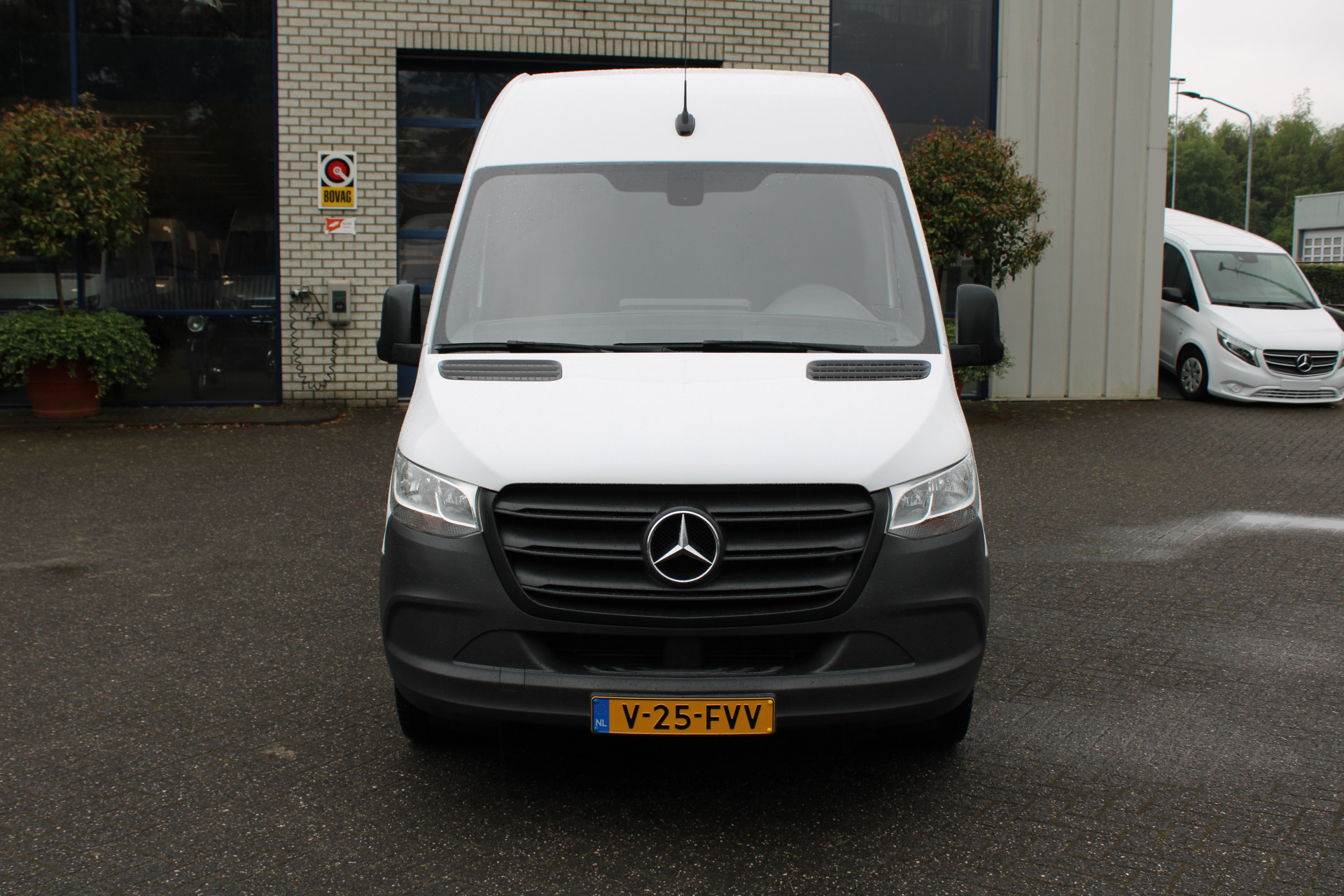 38862091-1.jpg
