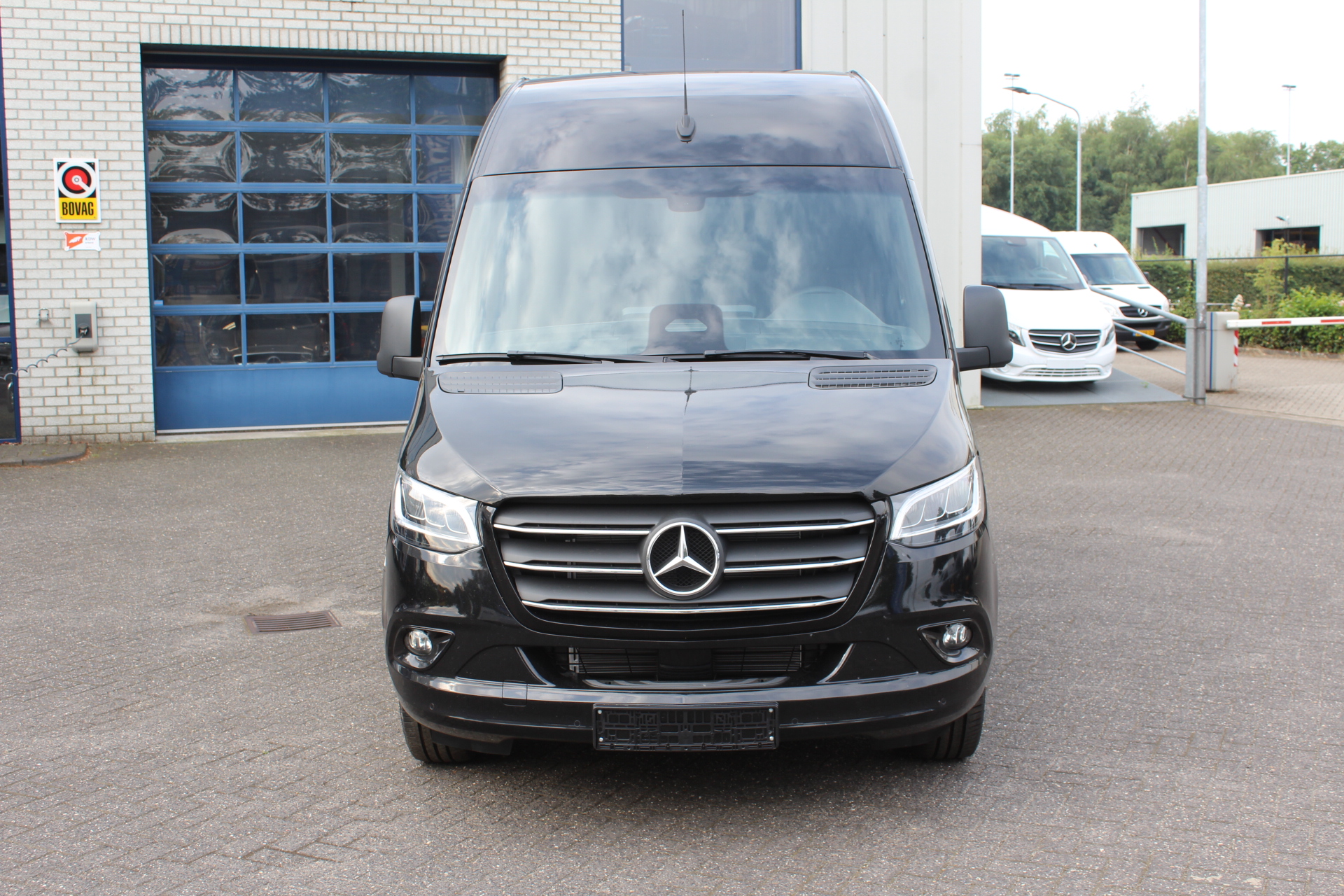 39501750-1.jpg