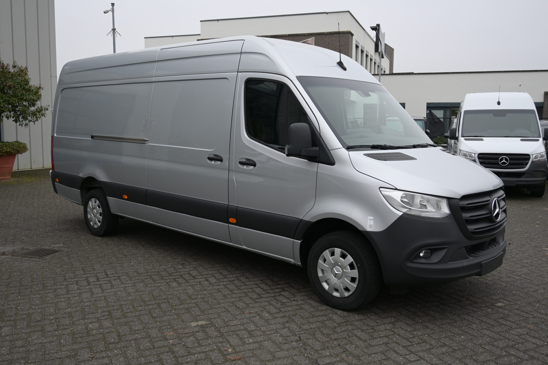 41846594-2.jpg
