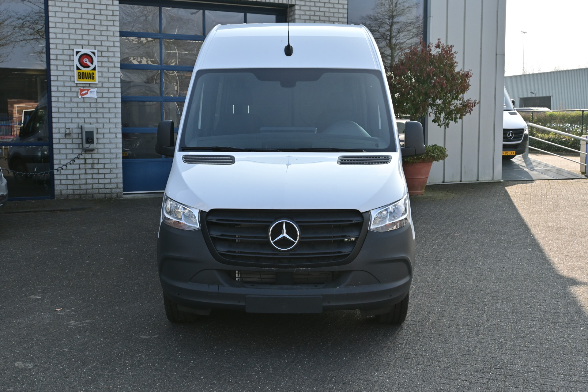 43858304-1.jpg