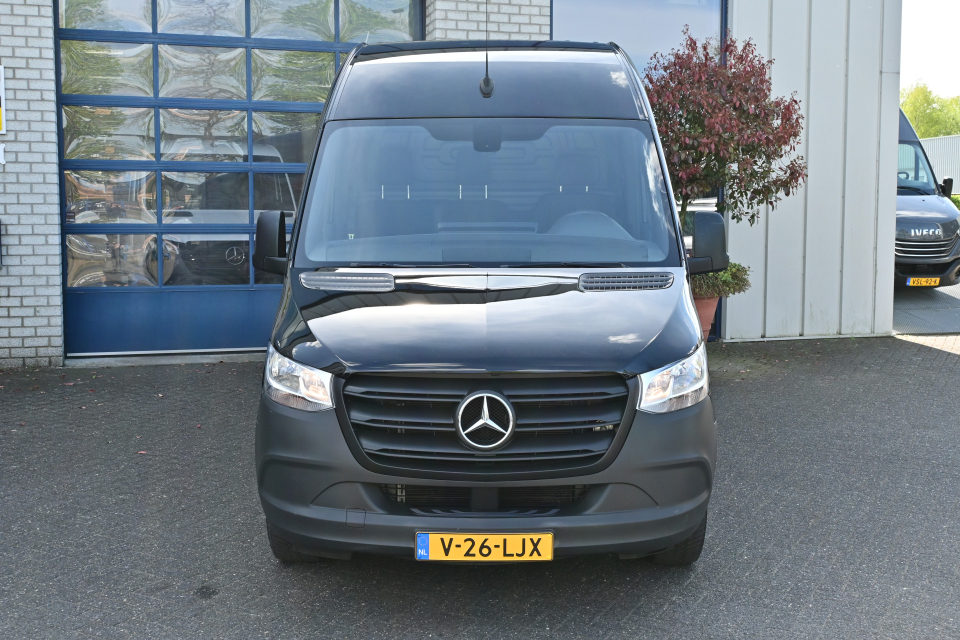 44241590-1.jpg