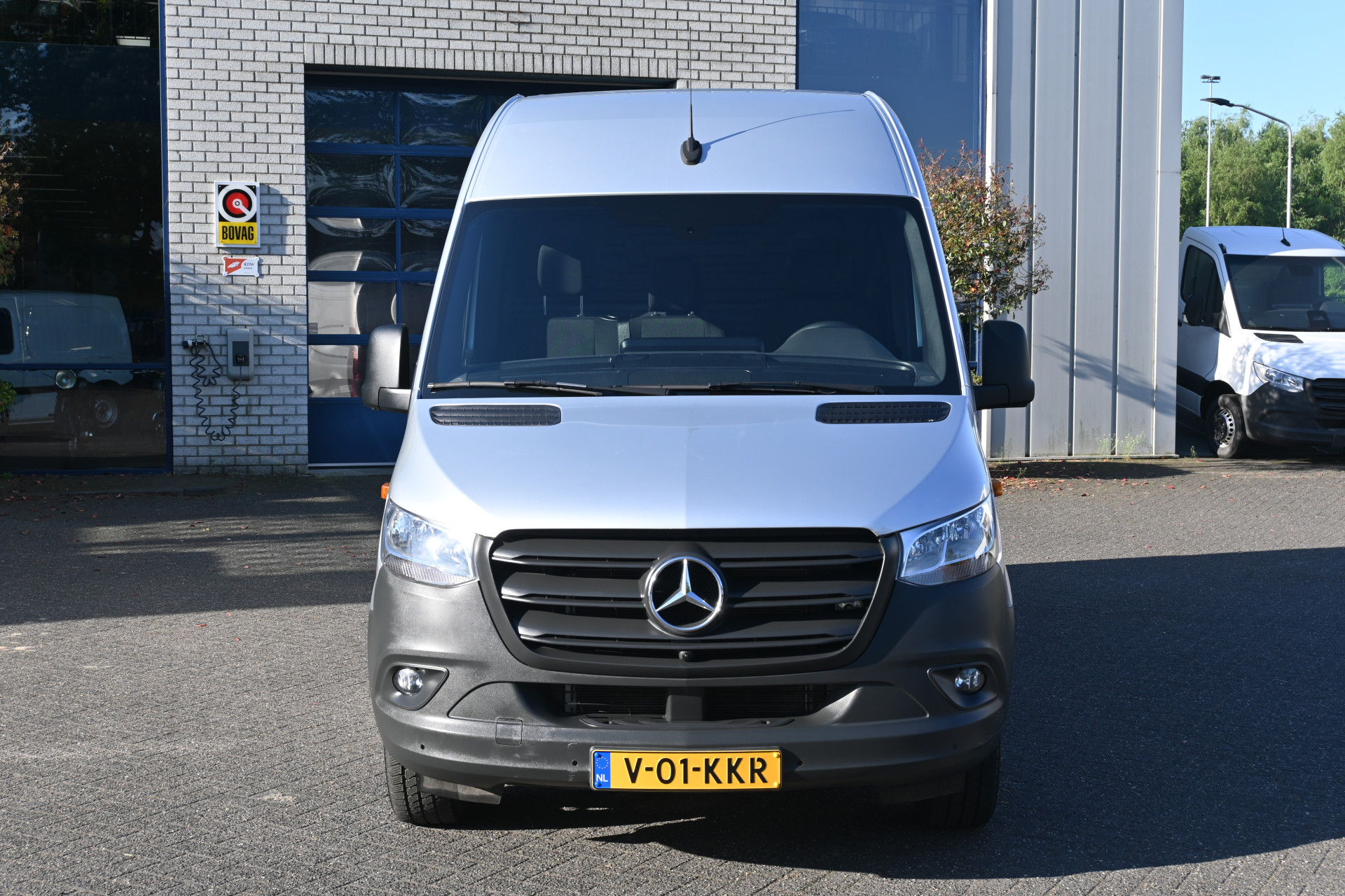 44481038-1.jpg
