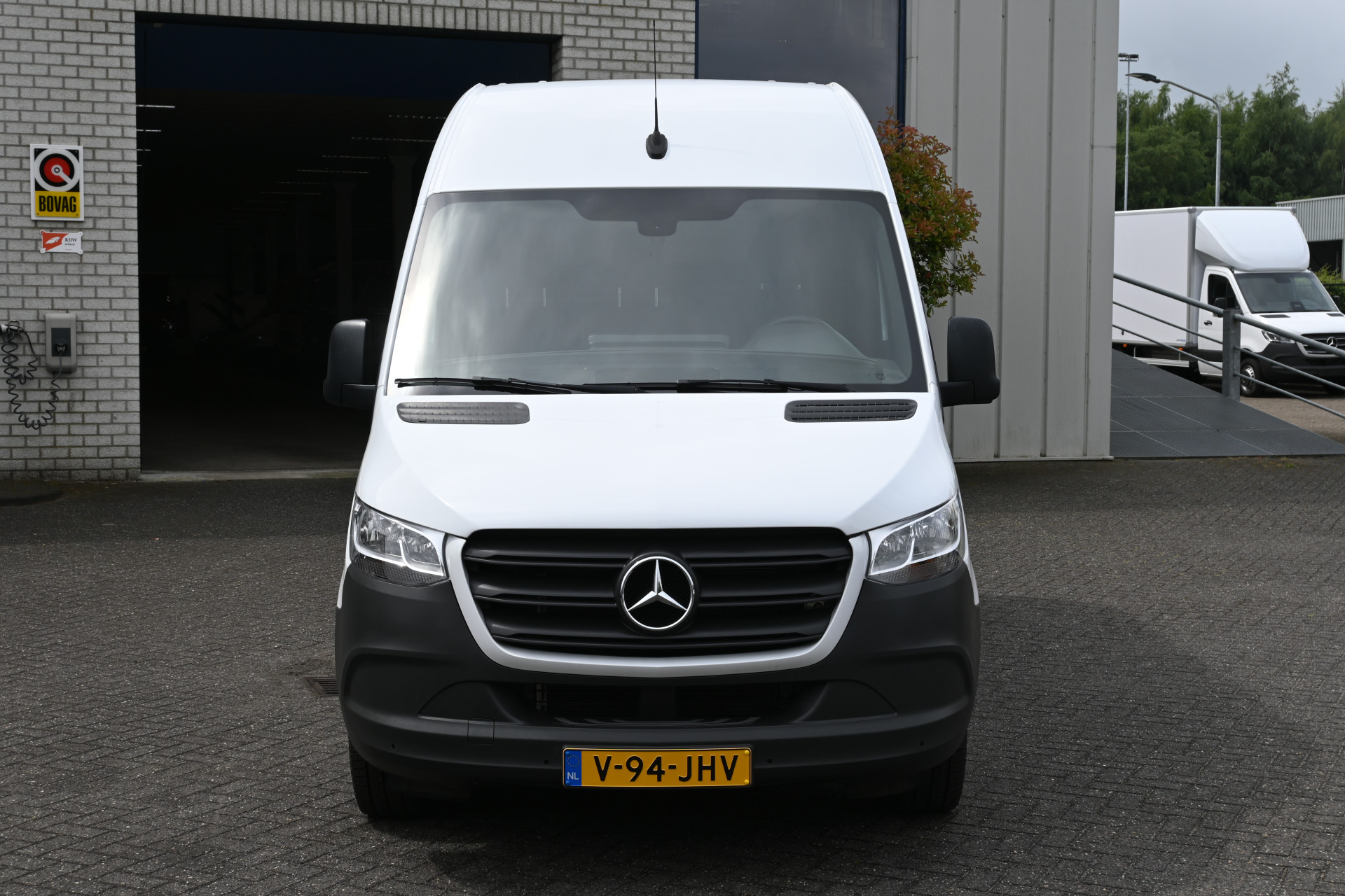 44555286-1.jpg