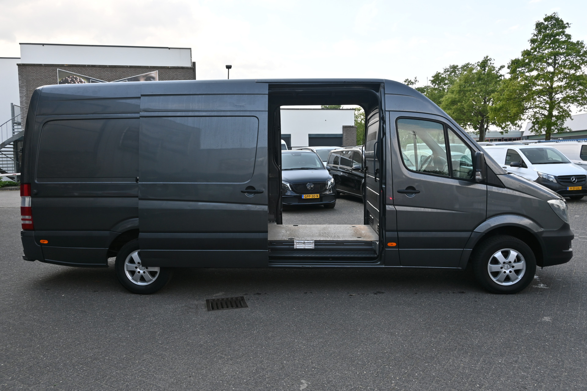 44781572-1.jpg