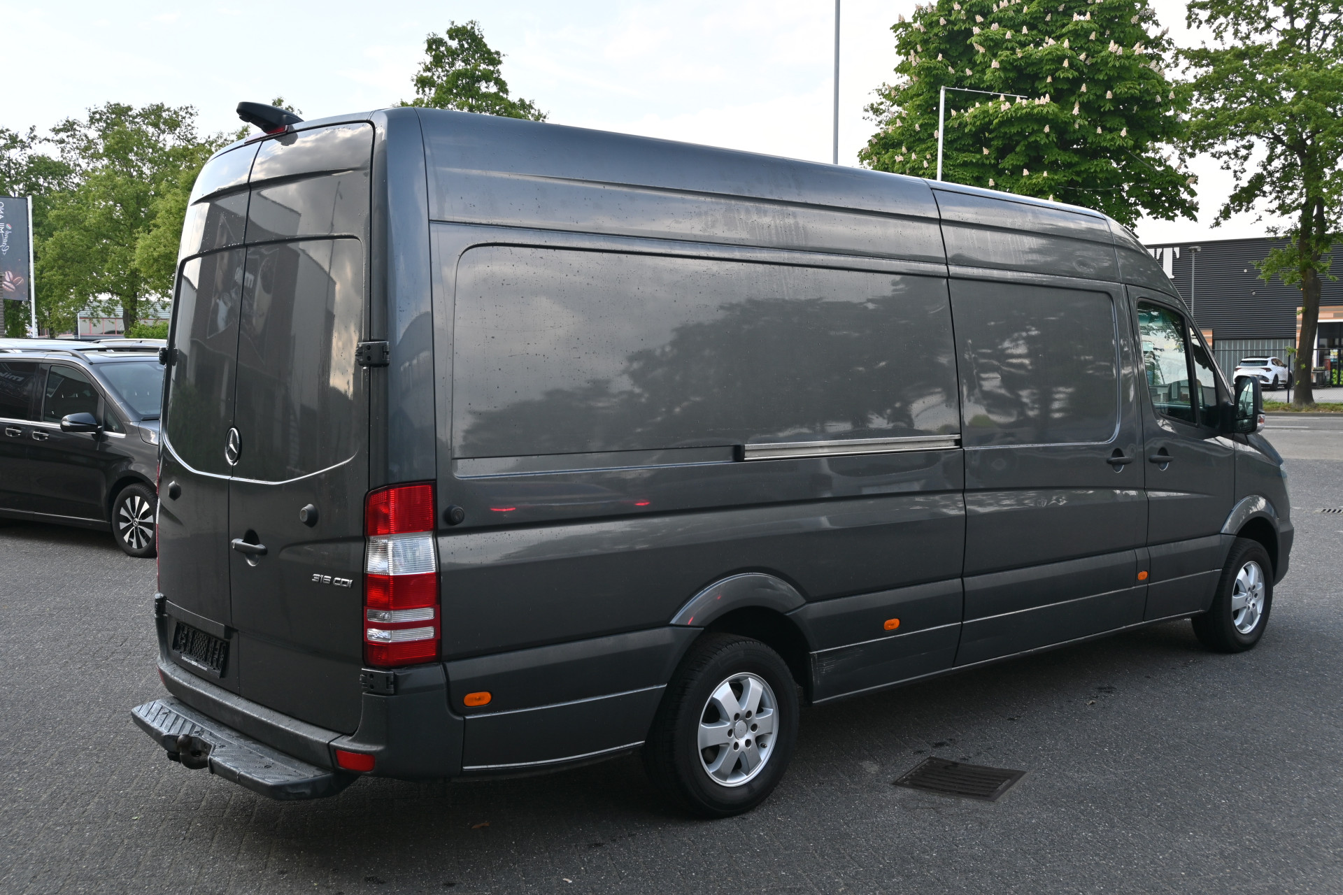 44781572-3.jpg