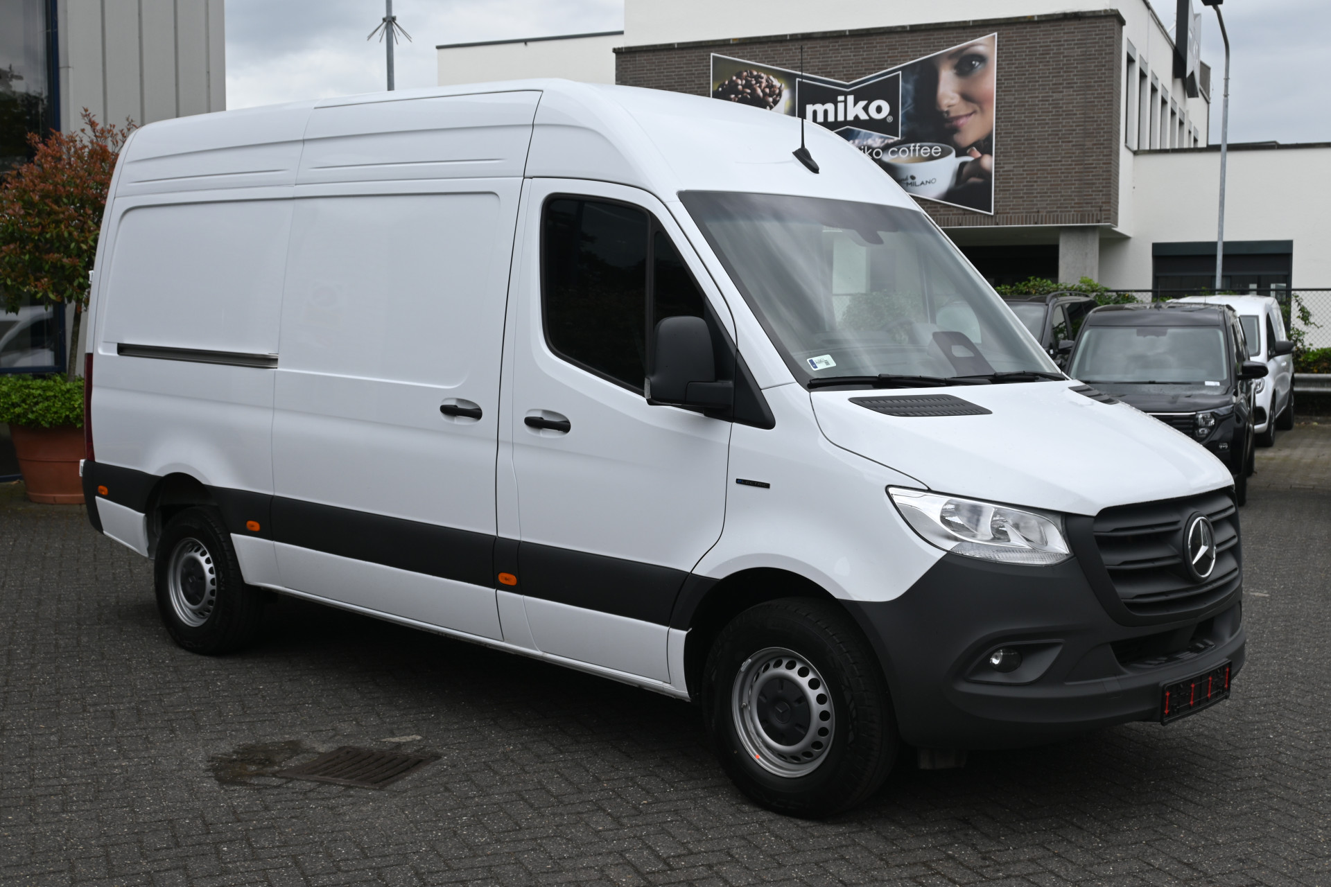 45304264-2.jpg