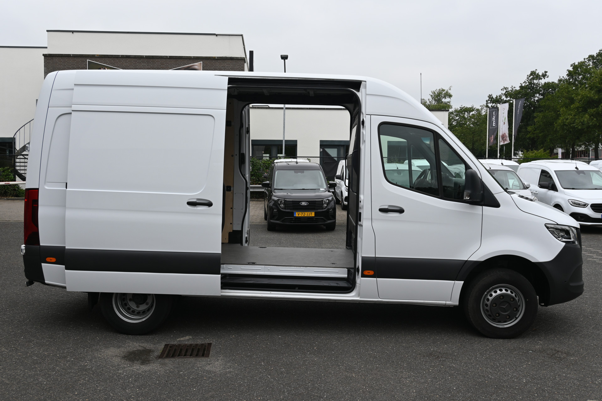 45705709-2.jpg