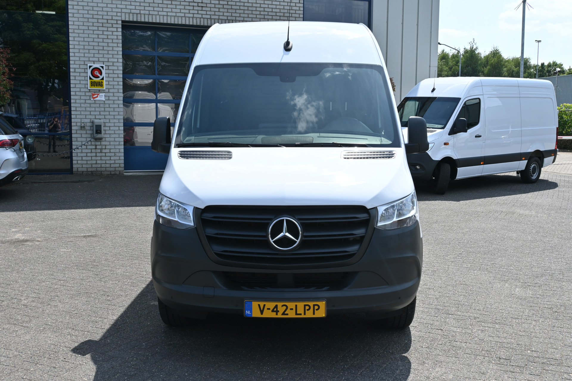 45773832-1.jpg
