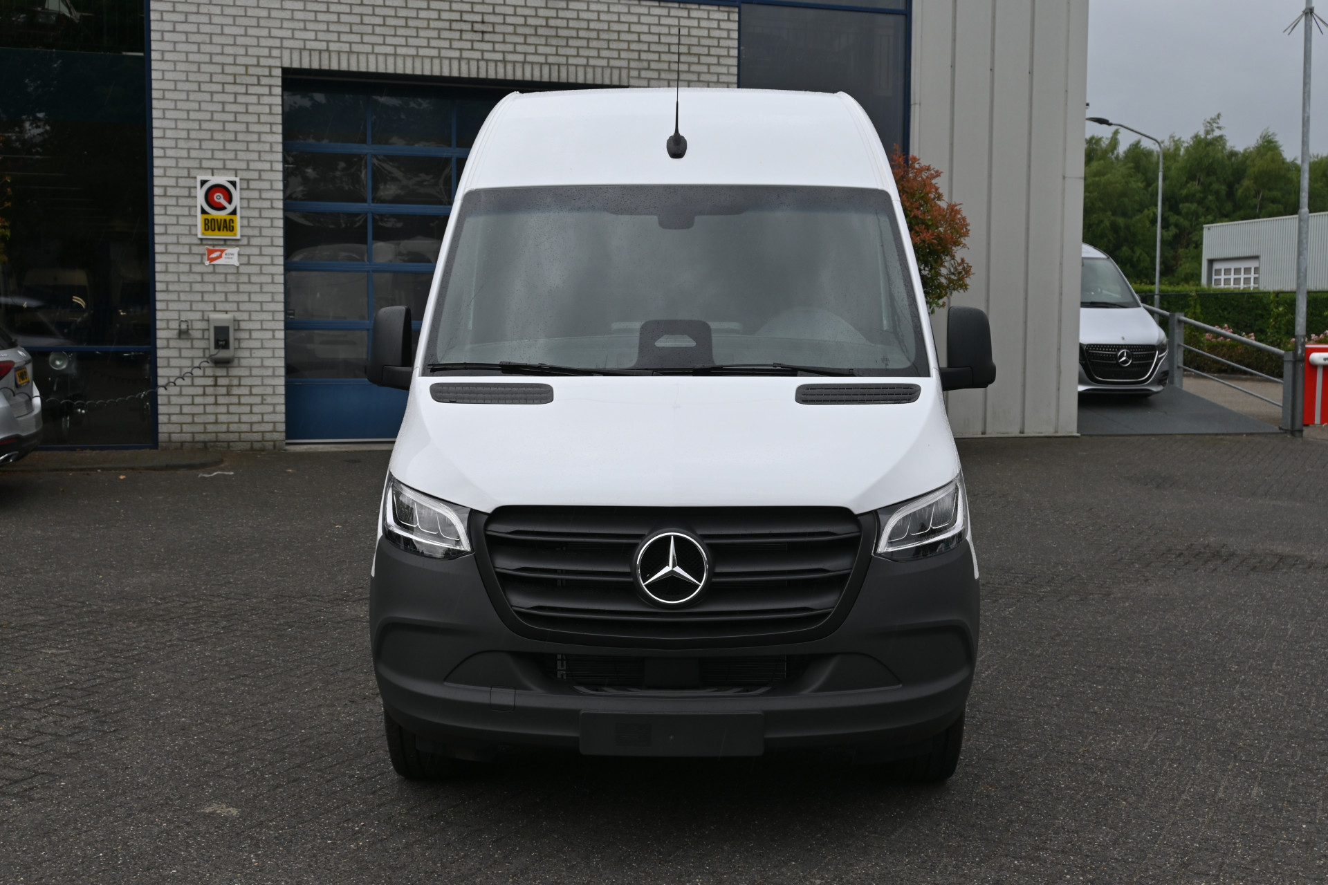 45785916-1.jpg