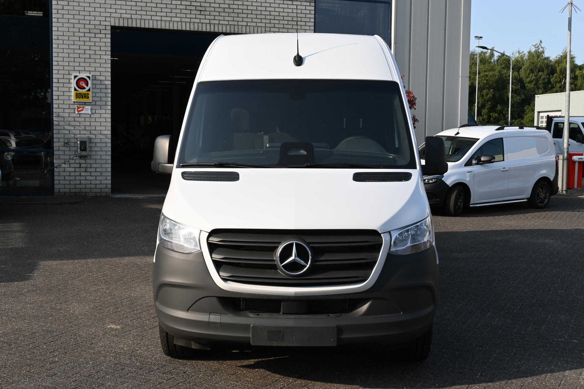 46850370-1.jpg