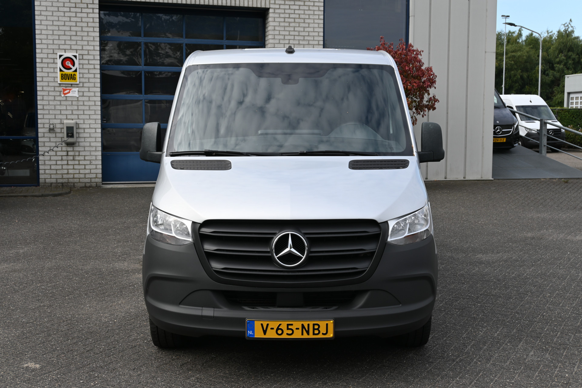 46871164-1.jpg