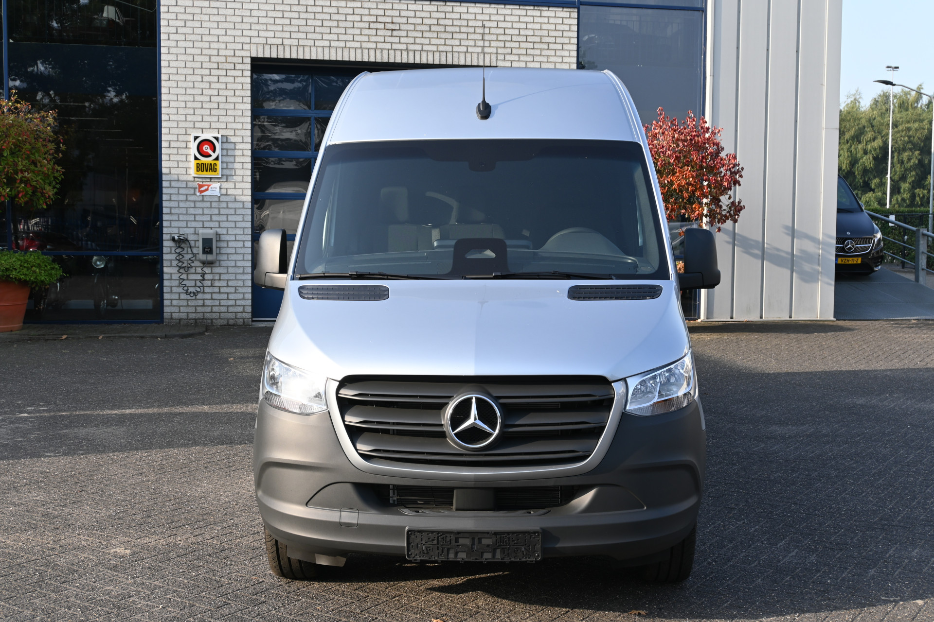 46967919-2.jpg