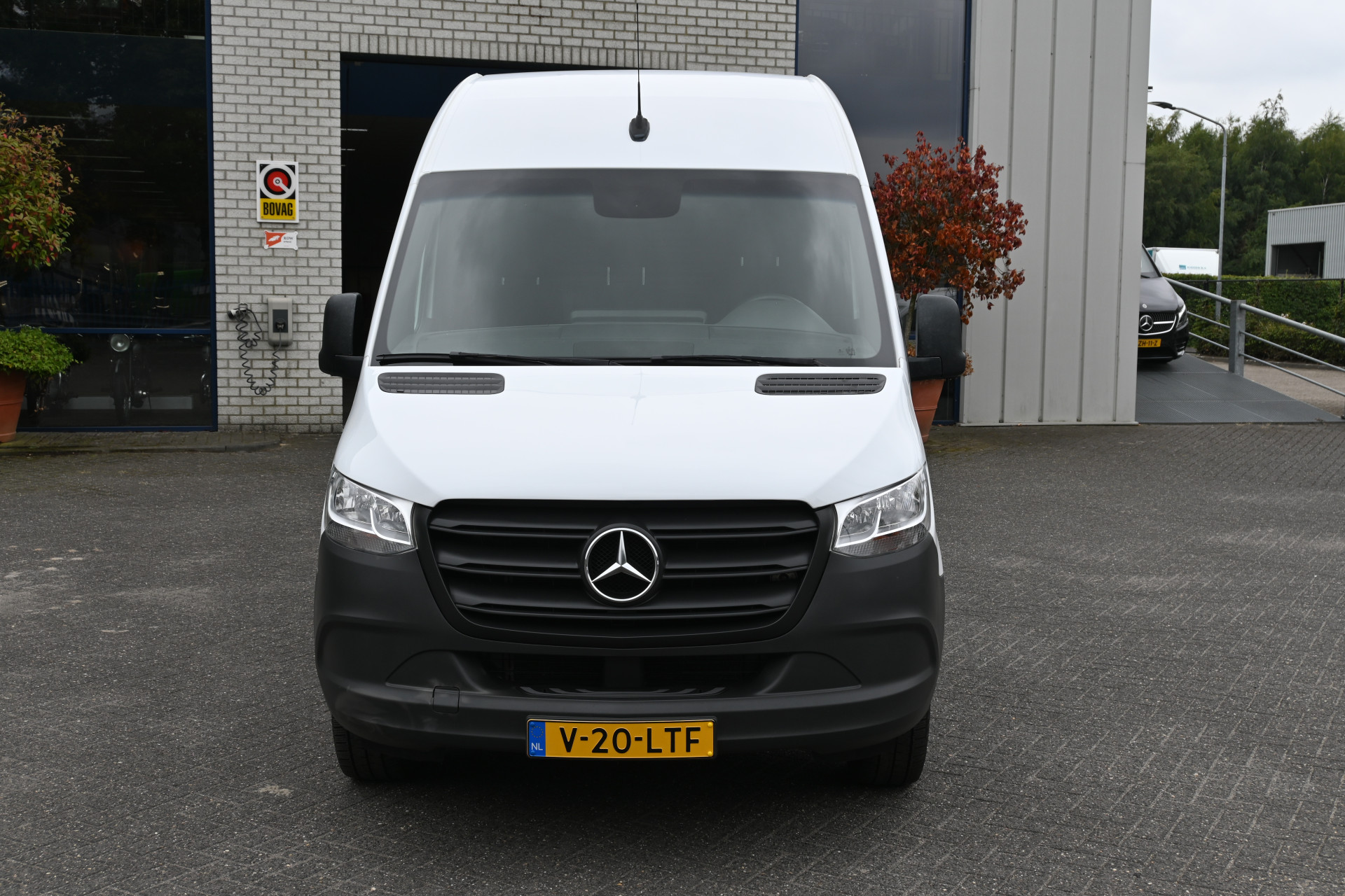 47035113-1.jpg