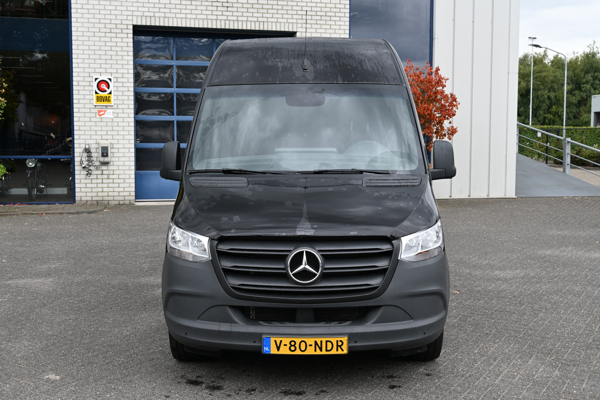47138257-1.jpg