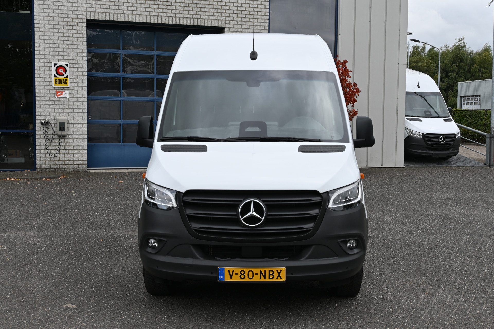 47427183-1.jpg