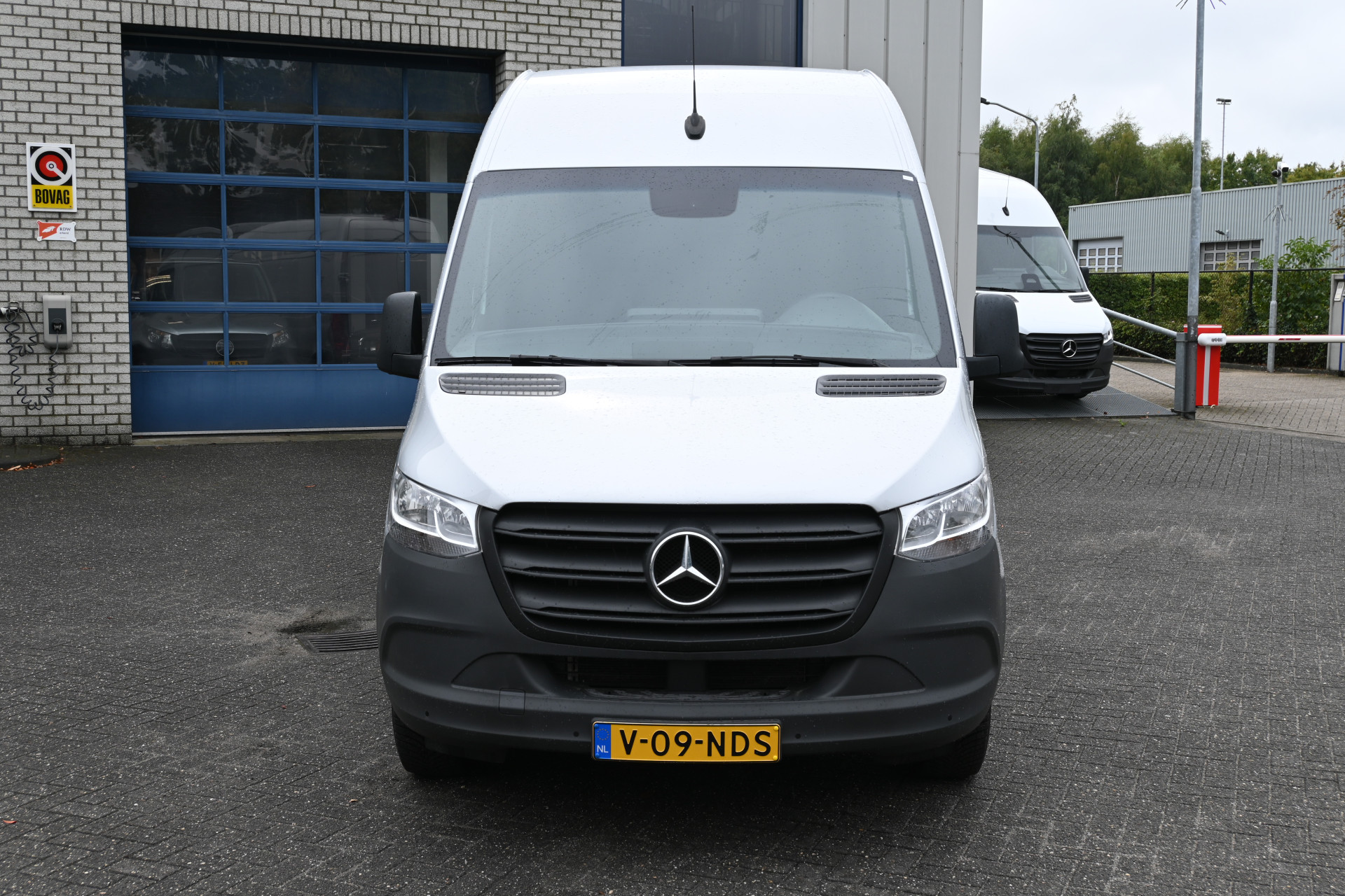 47506604-1.jpg